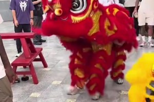 感受中國文化！蒙克中國行看舞獅表演，看的太開心了