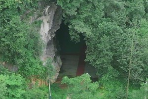 歐文野球場集錦，這該死的輕松寫意！