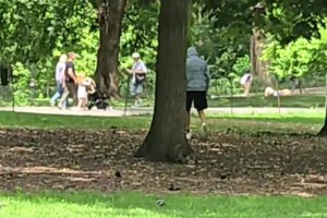 克萊閑來(lái)無(wú)事在紐約街頭散步 沒有目的兜帽一帶誰(shuí)也不愛