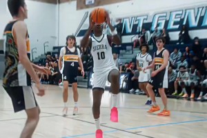 亂殺?。愀惺芤幌虏既R斯-詹姆斯的野球局